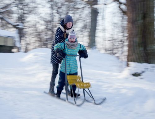 Сестричество
