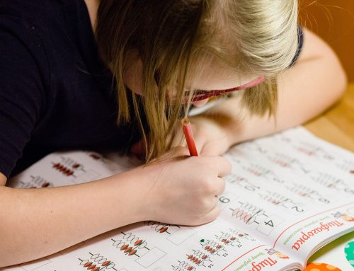 Инклюзия с человеческим лицом