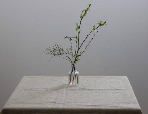 Открытие выставки фотостудии «Свой взгляд»