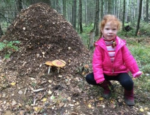 «…Георгий Иваныч, он же Гога, он же Гоша, он же Юрий, он же Гора, он же Жора, здесь проживает?..» Слова из к/ф «Москва слезам не верит»